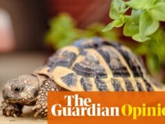 Tengo muchas ganas de tener un hijo que se quede en casa. Afortunadamente hay un pequeño que nunca me dejará | Emma Bedington