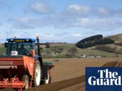 El riesgo inminente de escasez de alimentos y anarquía en el Reino Unido | Agricultura