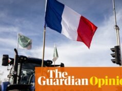 Los agricultores franceses acusan erróneamente a Bruselas de traición. La complicidad de Macron podría ayudar a la extrema derecha a la victoria | Pablo Taylor