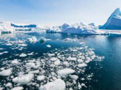 Los científicos emiten una advertencia después de hacer un descubrimiento sombrío en el Ártico: esto es lo que necesita saber