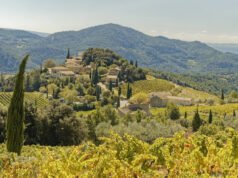 Rick Steves dice que esta pintoresca región de Francia tiene un clima agradable y toneladas de viñedos