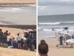 Matanza sangrienta de tiburones en Australia con 3 nadadores atacados durante 24 horas