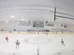 Video muestra a jugadores de hockey y fanáticos corriendo para cubrirse después de disparos durante el juego