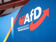 La mayoría de los alemanes consideran problemáticas las acusaciones de amiguismo del AfD
