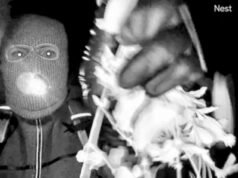 El FBI ‘tiene nombres y fotografías de personas que pueden ser sospechosos enmascarados captados en un video de vigilancia afuera de la casa de Nancy Guthrie’