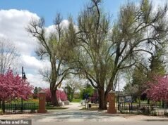 El encantador suburbio de Denver desciende a un infierno lleno de vagabundos… y los legisladores desestiman las preocupaciones de los residentes diciéndoles que “la falta de vivienda es un problema complejo”