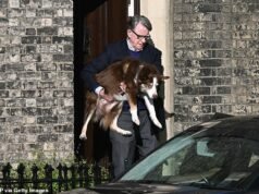 Peter Mandelson levanta el velo por primera vez desde que estalló el escándalo de Epstein mientras emerge la noticia del ‘vuelo fantasma’ para ver a Putin y crecen los llamados para que testifique ante el Congreso de Estados Unidos.