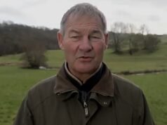 Elon Musk desaira a Nigel Farage mientras el jefe de Tesla respalda al nuevo partido político del ex parlamentario reformista del Reino Unido, Restore Britain