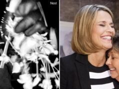 La policía de Nancy Guthrie revela que la ropa usada por el sospechoso de la cámara del timbre fue comprada en Walmart mientras los investigadores ‘alejarse’ de la participación familiar: actualizaciones en vivo