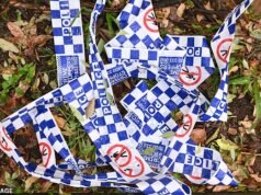 Descubrimiento sombrío realizado por trabajadores que excavaban para un proyecto de construcción en la región de Victoria