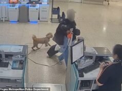 Mujer desalmada arrestada por abandonar a su cachorro en el mostrador de boletos del aeropuerto de Las Vegas porque no podía llevarlo en el avión