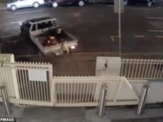 Momento inquietante: sinagoga australiana embestida por Toyota Hilux en presunto ataque antisemita