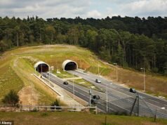 Una niña de siete años y una mujer de 43 mueren en un accidente en un túnel de Surrey