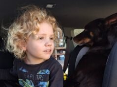 Nuevas y desgarradoras fotos del desaparecido Gus Lamont surgen cuando sus afligidos padres rompen su silencio para pedir ayuda cinco meses después de su desaparición.