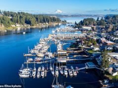 Al menos cuatro personas muertas por un maníaco con un cuchillo que corría por el pintoresco suburbio costero de Washington