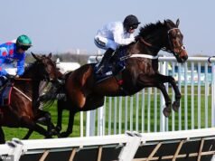 El importante desarrollo del Festival de Cheltenham cuando el legendario entrenador Nicky Henderson confirma su gran decisión en Constitution Hill, la favorita de los fanáticos.