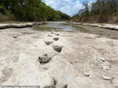 Furia porque un nuevo centro de datos de IA podría DESTRUIR un parque de dinosaurios de 100 millones de años