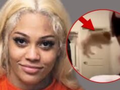 El perro de Streamer, Aspen Kartier, recibe solicitudes de adopción y se coloca en una familia de acogida