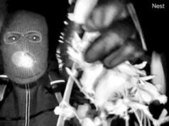 El remitente de la nota de Nancy Guthrie dice que está “dispuesta a revelar nombres” a cambio de dinero y no confía en la policía: actualizaciones en vivo