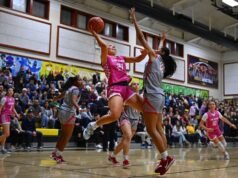 Qué saber después de la reunión de plántulas.