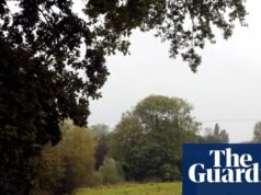 Los promotores sólo nos traerán una mayor expansión dependiente de los automóviles | Alojamiento