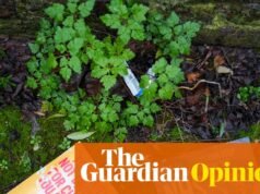 Veo dos cosas en Gorton y Denton: una frustración palpable y la necesidad de un voto inteligente para detener al Partido Reformista | Polly Toynbee