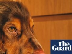 24ª exposición de fotografía 2026 – en imágenes | Fotografía