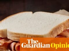 El principio de “vegano pero con tocino” está ahí. ¿Podría esto ayudarnos a lograr nuestros objetivos? | Polly Hudson