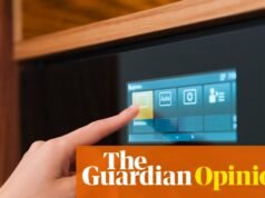 Quería un horno con controlador. En lugar de eso, tengo un mundo de dolor | Adrien Chiles