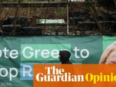 Ya nadie quiere defender el sistema electoral del Reino Unido, pero he aquí por qué lo haré | Gaby Hinsliff