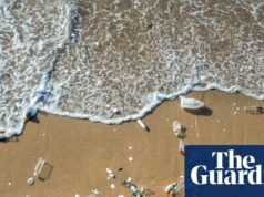 Luchando una batalla perdida para combatir el crecimiento de la producción de plástico | Plástica