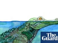 ¿Cuánto tiempo pueden permanecer los cocodrilos bajo el agua sin respirar? El cuestionario para niños | Familia