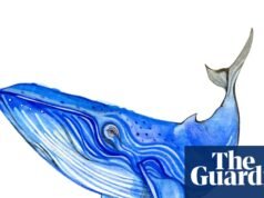 ¿Las ballenas azules son azules y cuál es el animal más común? El cuestionario para niños | Familia