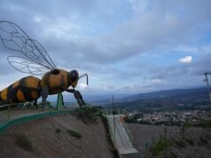 Escultura colombiana de abeja gigante bate récord mundial
