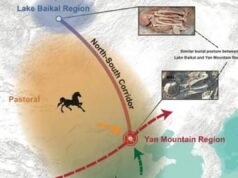 El descubrimiento de ADN prehistórico reescribe la historia de la población de Asia Oriental
