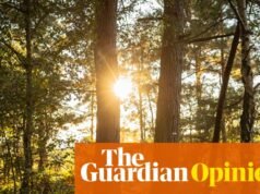 La opinión de The Guardian sobre los riesgos del colapso de la biodiversidad: hay que prestar atención a las advertencias antes de que sea demasiado tarde | Editorial