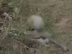 La policía confirma que los restos encontrados en los bosques de Jerusalén pertenecen a un turista finlandés