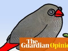 ¡Es hora de dibujos animados! Bienvenidos a la segunda parte de “pequeñas formas de hacer menos en 2026” | Primer perro en la Luna