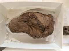 Tomografías computarizadas revelan secretos de niños incas momificados sacrificados ritualmente hace más de 500 años