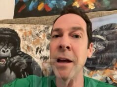 El mono viral llamado Punch necesita una madre de verdad que lo ame, dice un experto