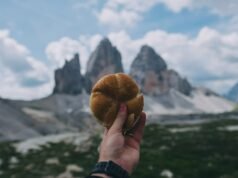 Por qué debería seguir estas rutas gastronómicas por toda Europa