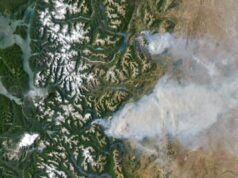 El calentamiento ha triplicado el riesgo de incendios forestales en la Patagonia