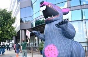 WGA pretende centrarse en los estudios, mientras el personal sigue en huelga