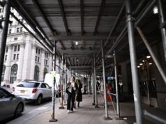 Cómo deshacerse de esos feos cobertizos y ver el paraíso a través de la cámara del tablero