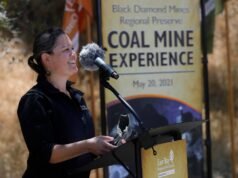 El ex director de parques de East Bay presenta una demanda por discriminación de género