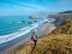 La costa de Sonoma es nombrada uno de los mejores destinos para viajar en solitario en Estados Unidos – The Mercury News