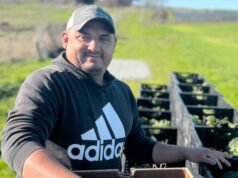 Los recortes federales podrían poner fin al programa de bancos de alimentos de la granja de California – The Mercury News