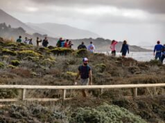 Turista atropellado por el vehículo de un voluntario del parque Point Lobos recibió 18,8 millones de dólares – The Mercury News