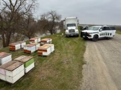 El atraco a la colmena termina con el arresto de un hombre de Sacramento