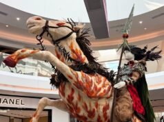 La Feria del Valle florece con una exhibición floral del Año Nuevo Lunar – The Mercury News